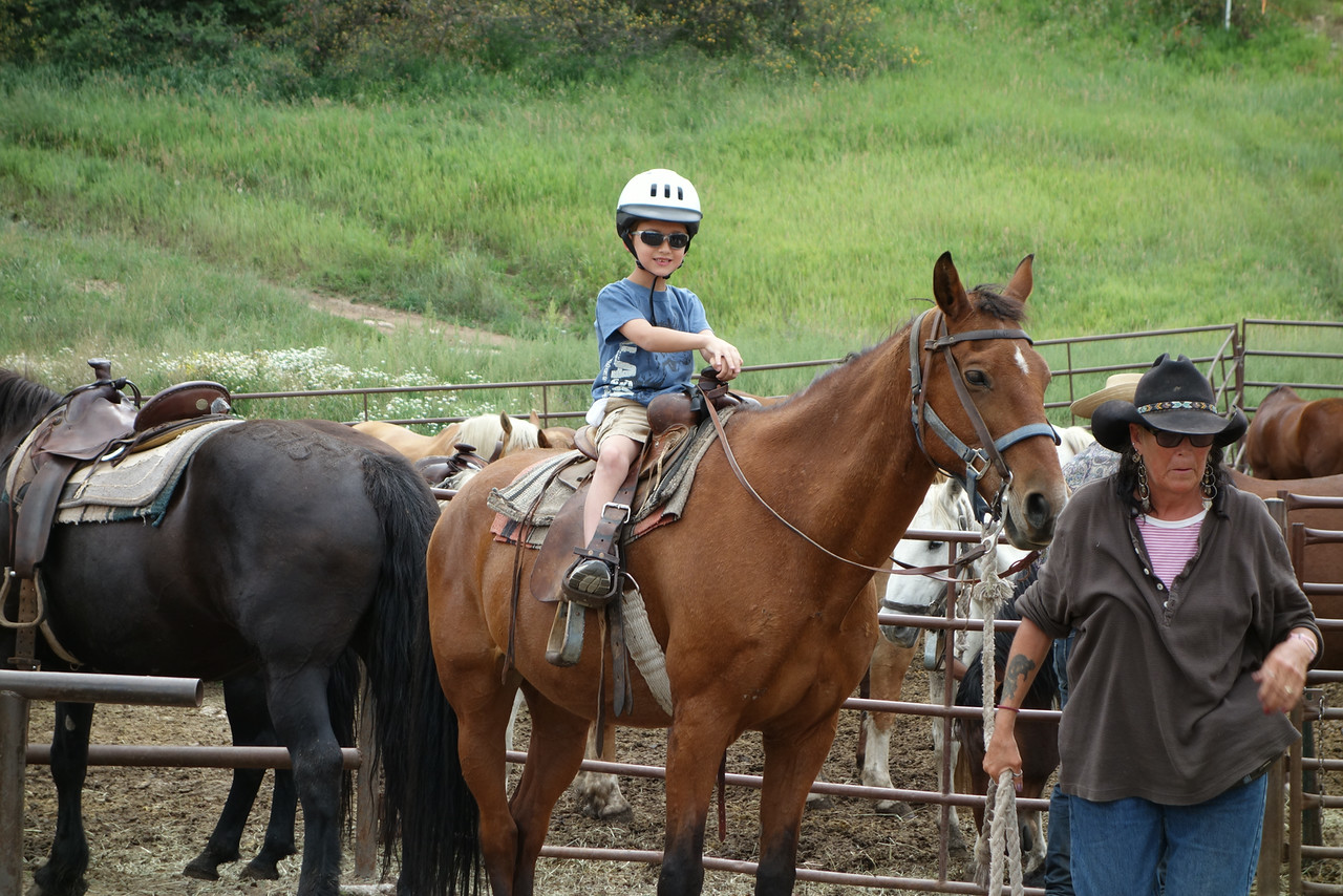" My first horseback riding experience!